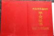 你能提供2003年鄭州市高中畢業(yè)證樣本的圖片鏈接嗎？